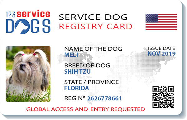 sample registration card - USA